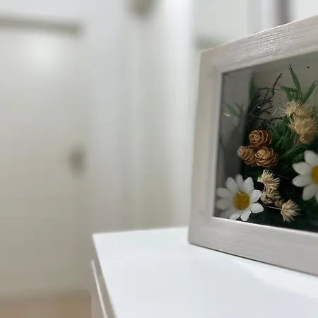Apartament “toni “